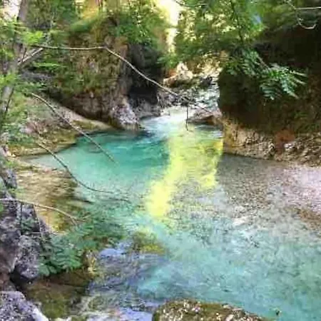 Luxury On The Mountains Wi-fi - Parking アパート