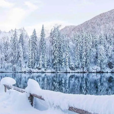 アパート Luxury On The Mountains Wi-fi - Parking タルヴィージオ